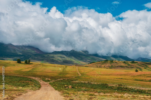 Bifurcation of a dirt road through a mountain plateau. Way to the distance, way over the hill to the sky. Dirt road through the field. Field with a dirt road.