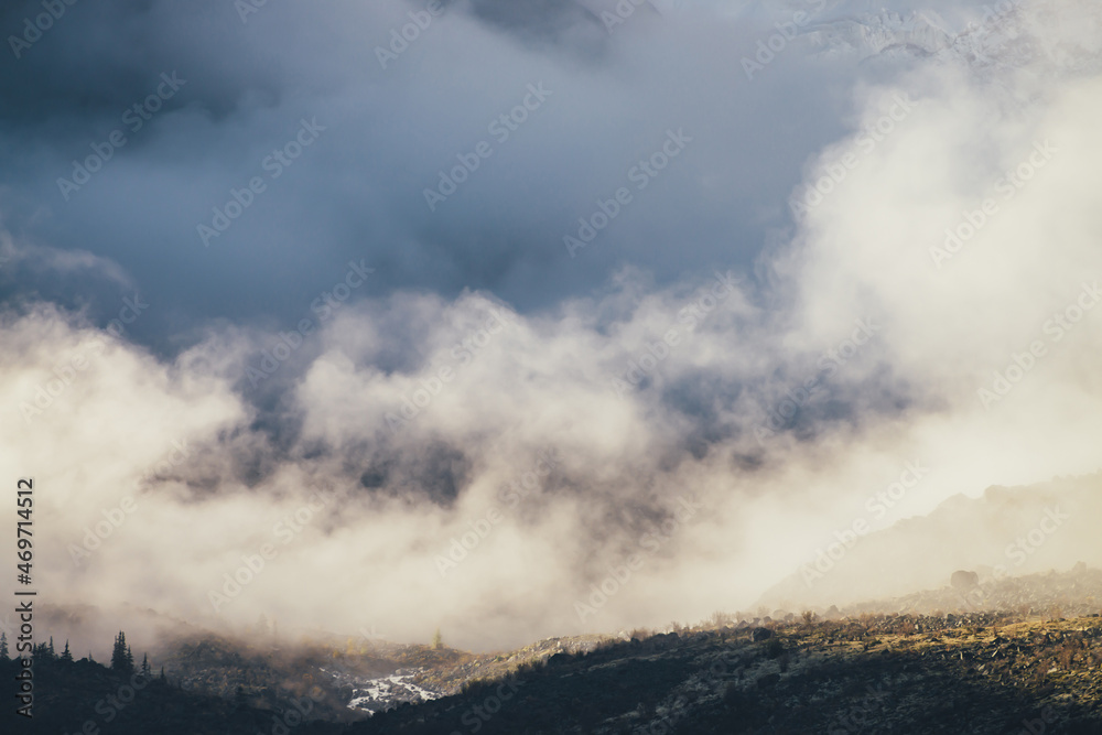 Mountain landscape with coniferous trees on rocks silhouettes and sunlit hills with view to high snowy mountain wall in thick low clouds in golden sunshine. Awesome dense low clouds in gold sunlight.