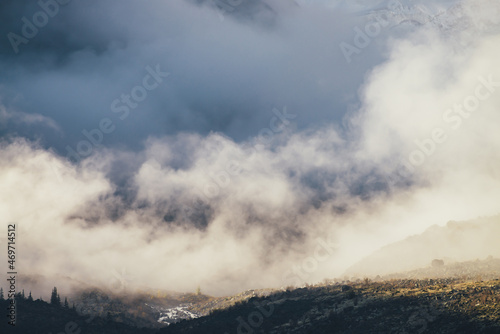 Mountain landscape with coniferous trees on rocks silhouettes and sunlit hills with view to high snowy mountain wall in thick low clouds in golden sunshine. Awesome dense low clouds in gold sunlight. © Daniil