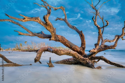 Jekyll Island