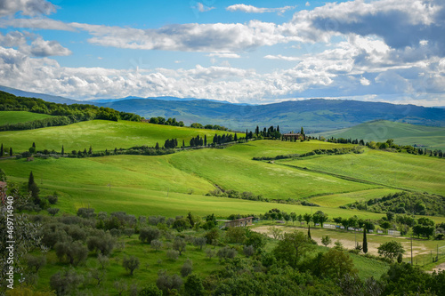 Tuscany, Italy, 2019, green hills against the background of mountains are crossed by cypress alleys, in the foreground there is an olive garden
