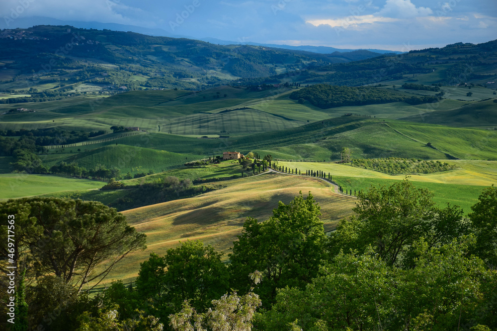 Tuscany, Italy, 2019, top view of the valley, a cypress alley leads to the farm