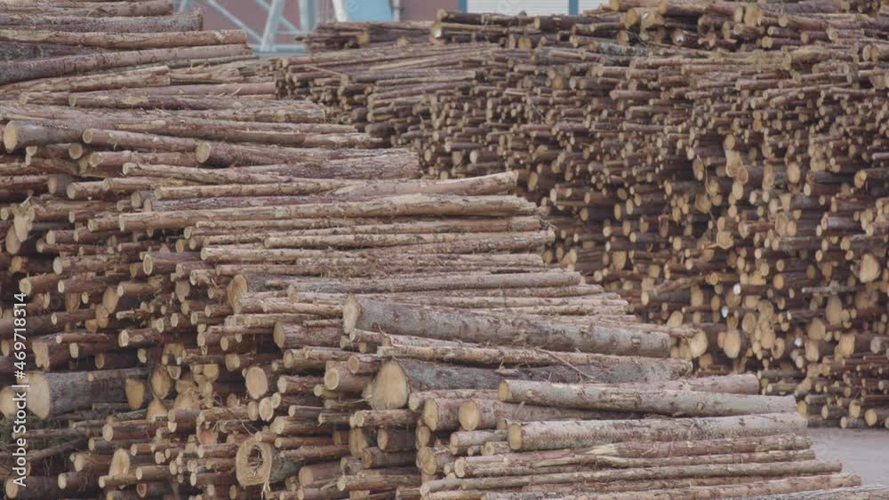 ZOOM OUT Stacked chopped timber waiting to enter a factory in Sweden ZOOM OUT Stacked chopped timber waiting to enter a factory in Sweden