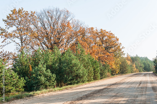 road in autumn