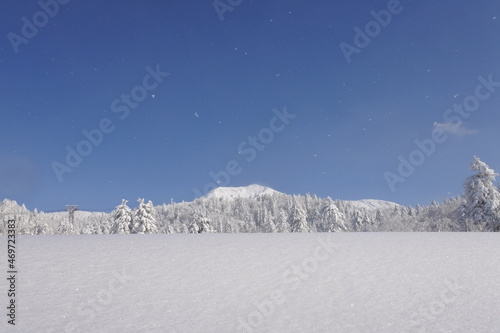北海道の旭岳の風景
