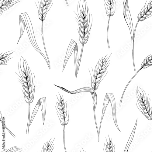 Wheat, cereals, spikelets. Seamless pattern. Vector background design