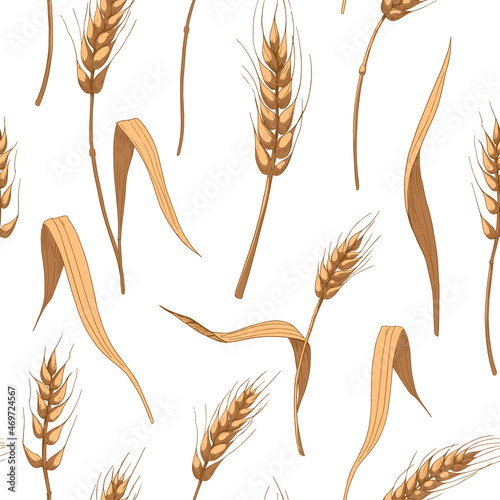 Wheat, cereals, spikelets. Seamless pattern. Vector background design