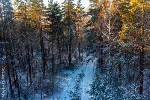 aerial view of winter forest covered in snow. drone photography.