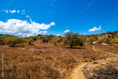 Landscape of Komodo National Park  Rinca  Lesser Sunda Islands  Indonesia  Asia