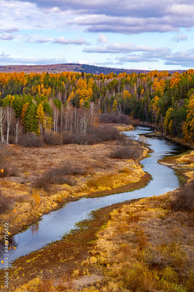 Autumn river creek stream in woods. Forest trees landscape woodland fall. Autumn river creek stream in woods. Forest trees landscape woodland fall.