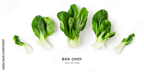 Bok choy collection on white background. photo