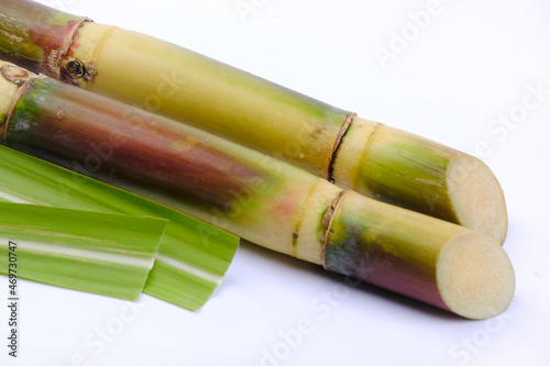 Indian organic sugar cane to make sugar  jaggery  juice  delicious sweets.