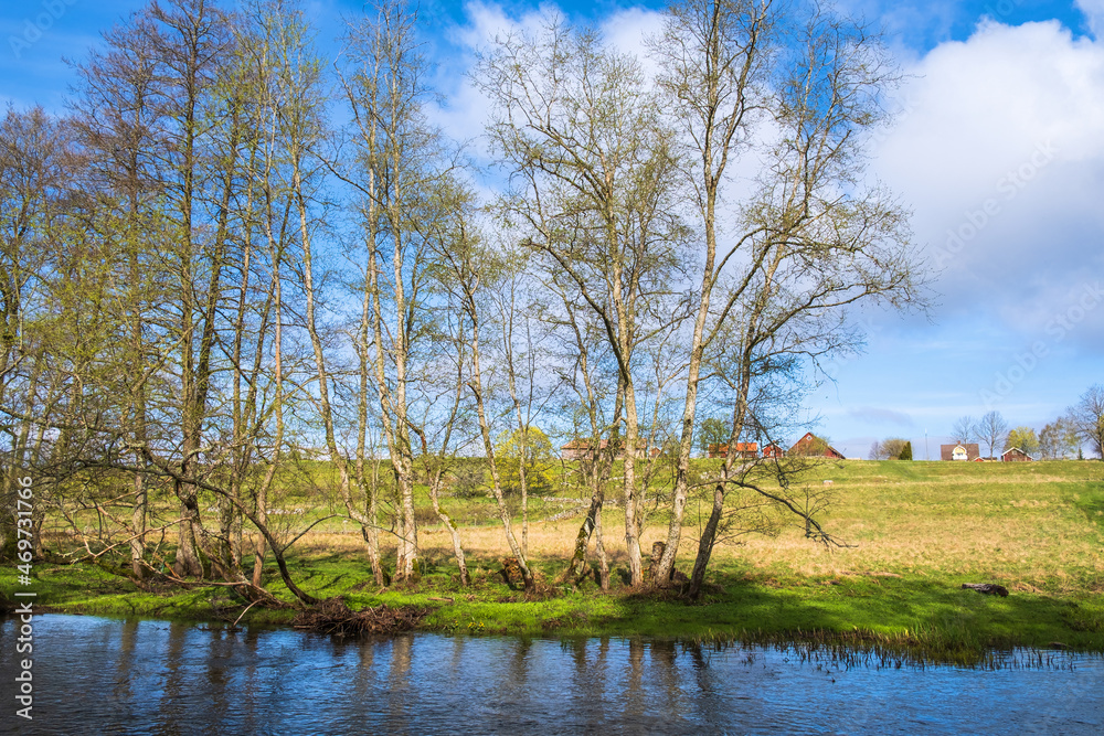 Tree lined at a river in a rural landscape at spring Tree lined at a river in a rural landscape at spring
