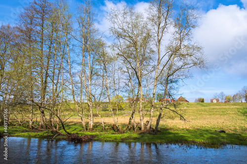 Tree lined at a river in a rural landscape at spring