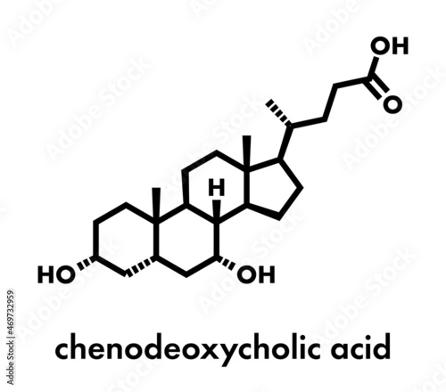 Chenodeoxycholic acid drug molecule. Skeletal formula. photo