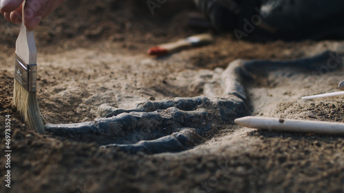 Crop archaeologists digging out dinosaur limb