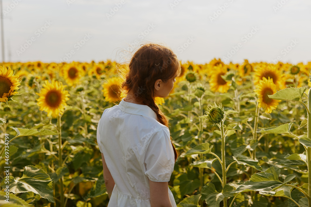 woman's back looking in the sunflower field landscape