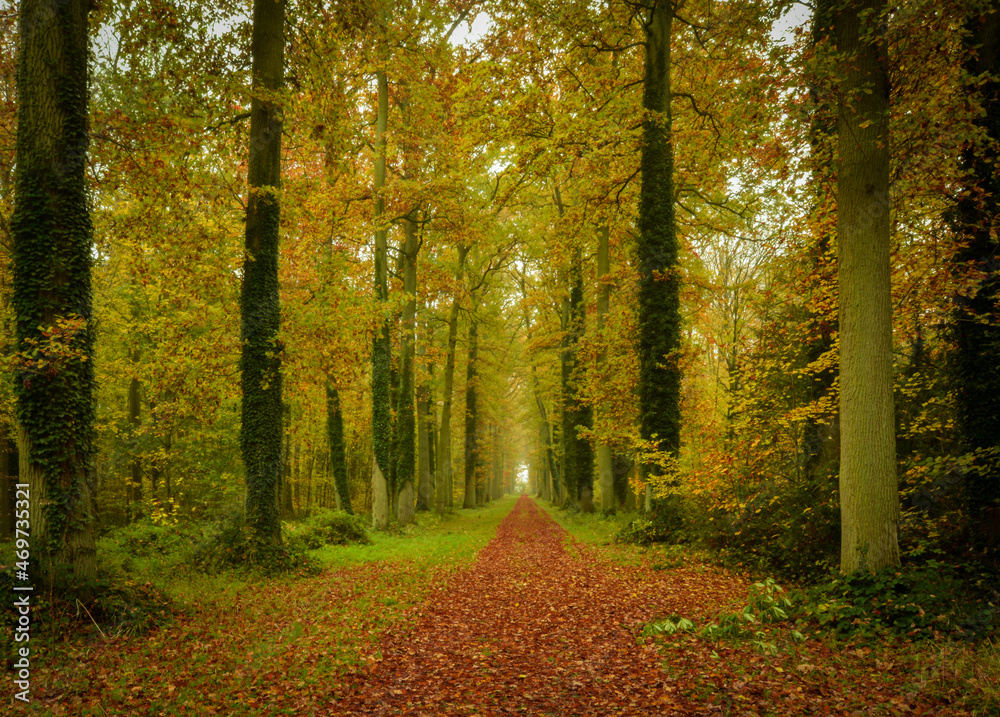 Fototapeta premium Beautiful view of Enghien park