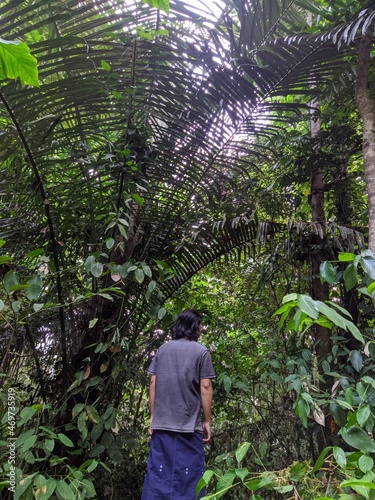 a man wearing a sarong is observing the thick forest in the Bogani Nani Wartabone national park, Gorontalo photo