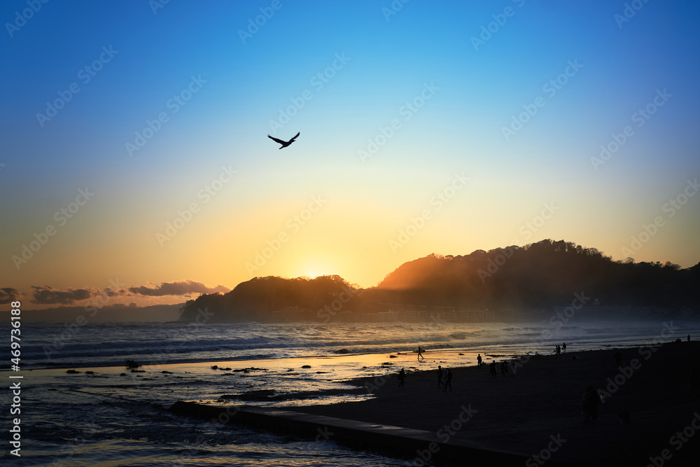 夕日と鳥 夕日と鳥