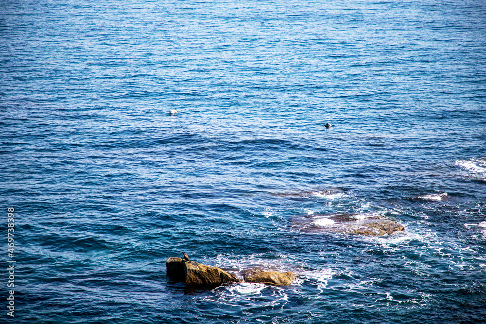 Fototapeta premium 외옹치항