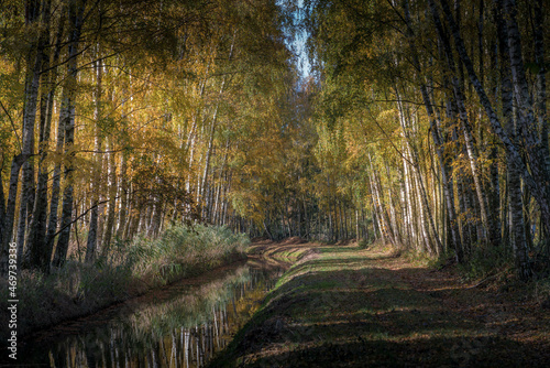Autumn © Ryszard