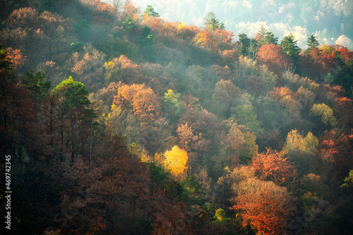 Autumn river colors nature, Vltava.