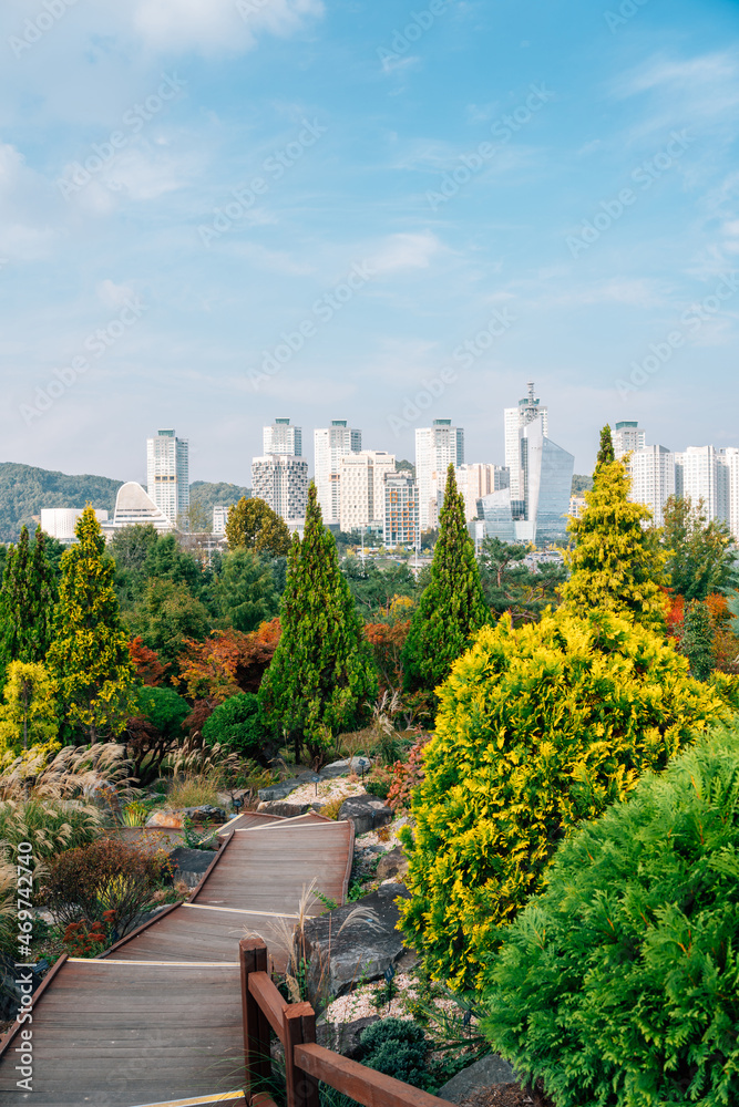 View of Hanbat Arboretum and modern buildings at autumn in Daejeon, Korea