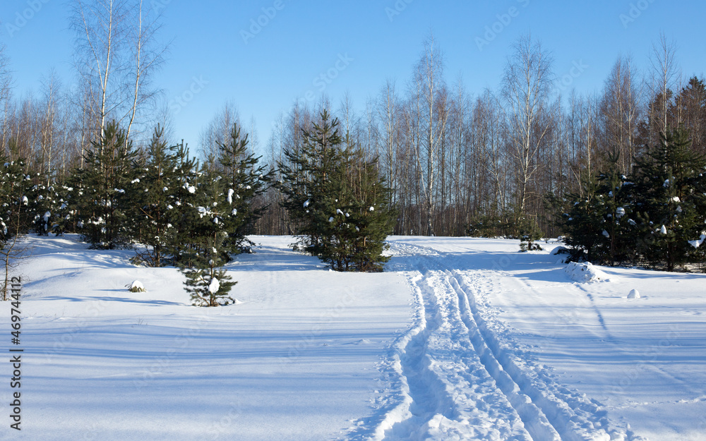 Path and footprints in the winter forest
