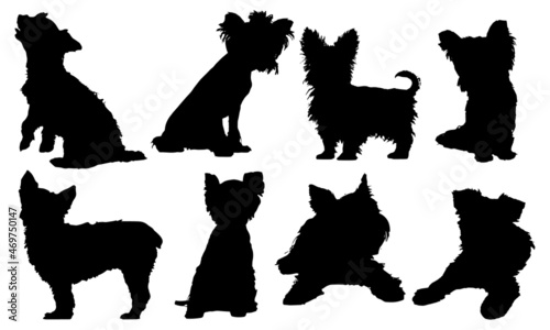 Yorkshire Terrier Dog Silhouette SVG Yorkie Silhouette