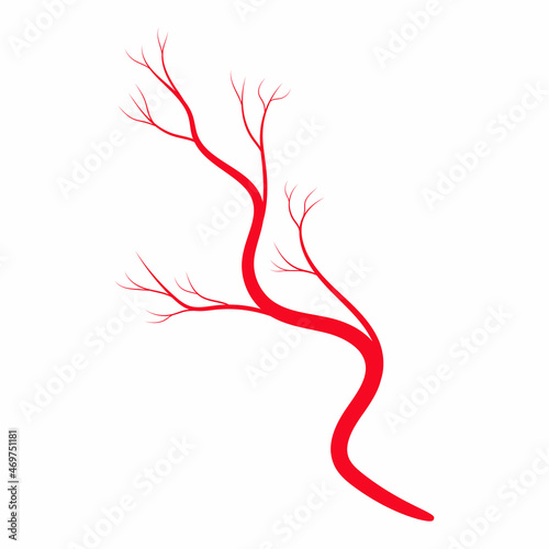 Human red vein. Vessel, capillaries, arteries, eye vein. Blood system. Concept anatomy element for medical science. Vector illustration