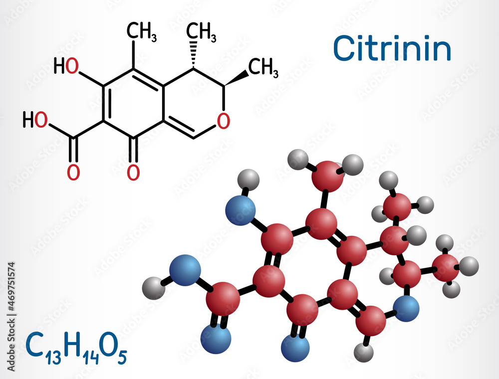 Citrinin molecule. It is antibiotic and mycotoxin from Penicillium citrinum. Structural chemical formula and molecule model. Citrinin molecule. It is antibiotic and mycotoxin from Penicillium citrinum. Structural chemical formula and molecule model.
