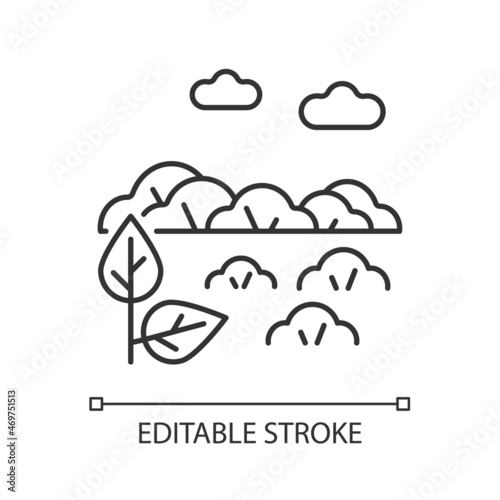 Shrubland linear icon. Scrubland. Bush growing area. Land type with shrub. Dry climate zone. Thin line customizable illustration. Contour symbol. Vector isolated outline drawing. Editable stroke