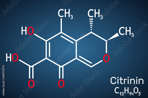 Citrinin molecule. It is antibiotic and mycotoxin from Penicillium citrinum. Structural chemical formula on the dark blue background photo