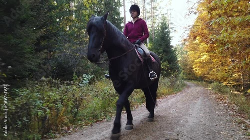 Equestrian rides on black friesian horse through beautiful autumn forest landscape photo