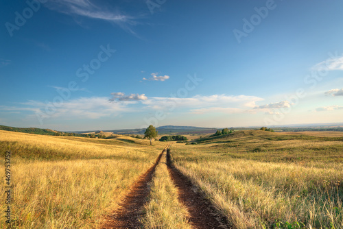 The road outside the city through the fields in nature.