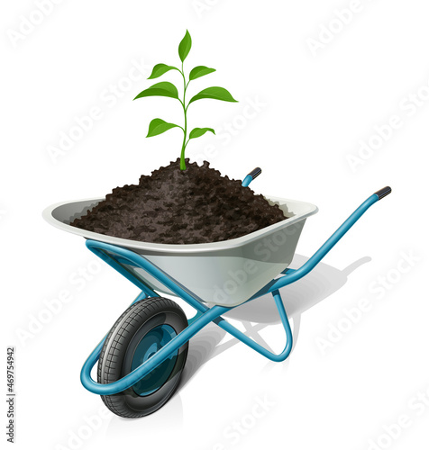 Wheelbarrow with green plant. Building instrument. Garden inventory. Transportation cargo, Isolated on white background. Eps10 vector illustration.