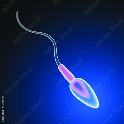 A picture of one sperm in a swimming position is educational and medical. photo