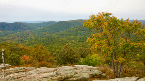 Fototapeta Naklejka Na Ścianę i Meble -  Colorful autumn leaves on Bear Mountain in the park in New York