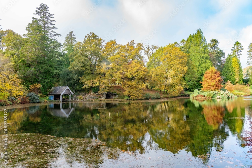 Fototapeta premium peaceful autumn landscape with lake and trees