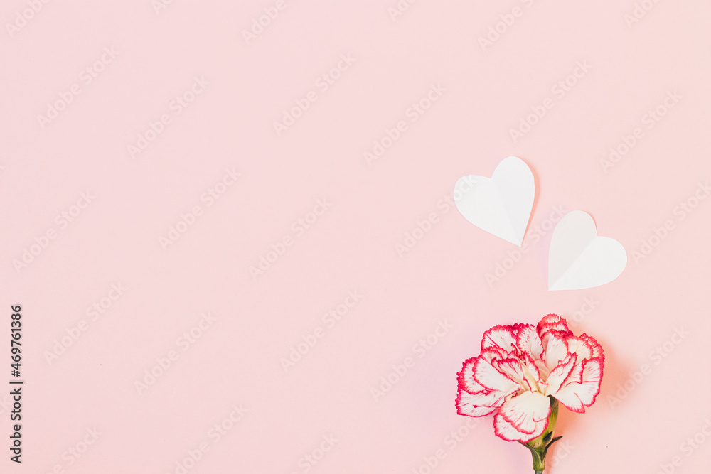 Love concept, white hearts next to fresh flower