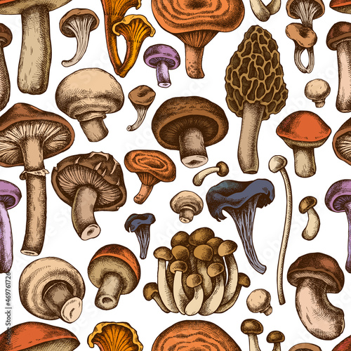 Seamless pattern with hand drawn colored oyster mushroom, champignon, honey agaric, shiitake, porcini, morel mushroom, chanterelle, aspen mushroom, enoki , shimeji, black chanterelle, red pine
