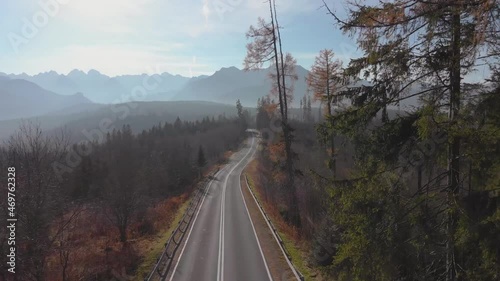 Alpine road with curves in the direction of the Polish and Slovak Tatra Mountains. Driving on dangerous winding mountain road in the fog at dawn in the nature. Luxury car.