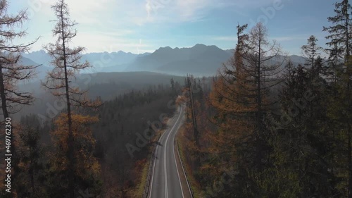 Alpine road with curves in the direction of the Polish and Slovak Tatra Mountains. Driving on dangerous winding mountain road in the fog at dawn in the nature. Luxury car.
