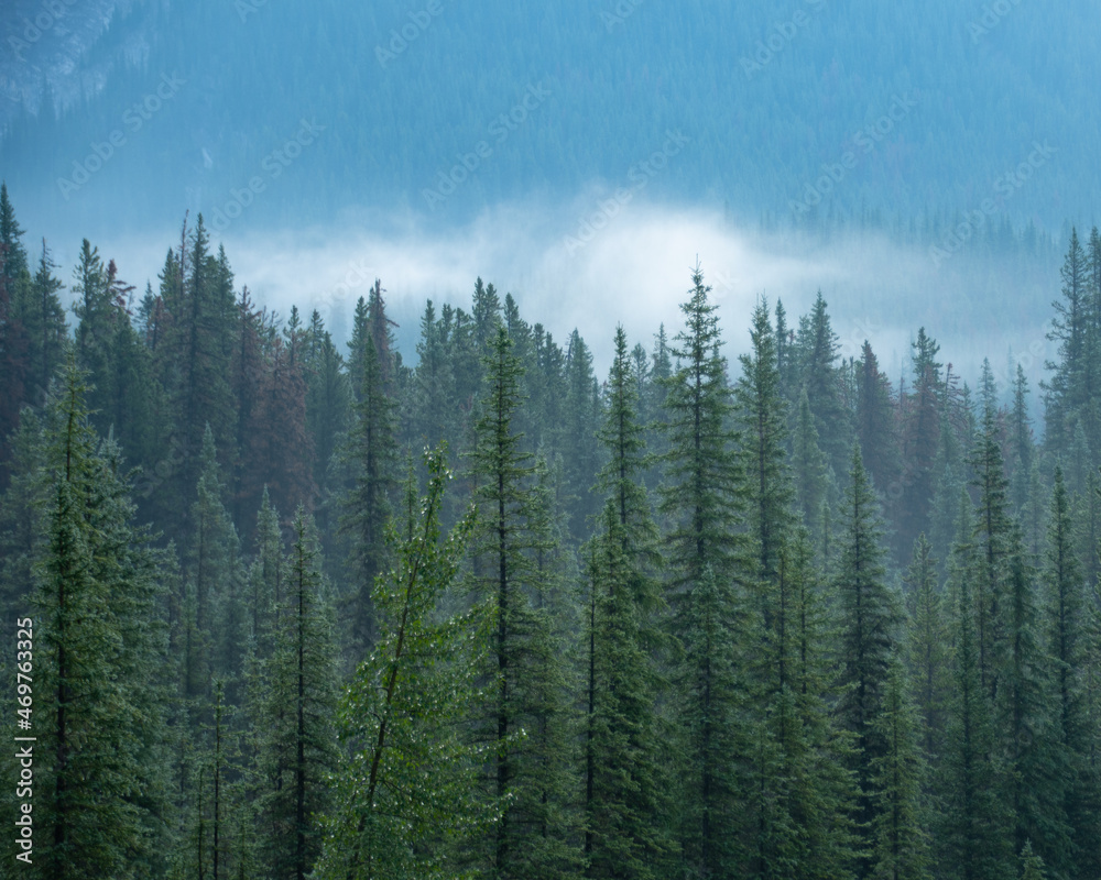 Smoky Mountain Views of Jasper National Park Due to Forrest Fires