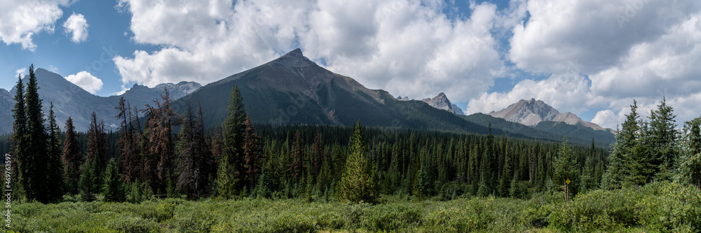 Mountain Views of Cairn Pass Trail Jasper National Park