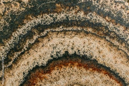 Macro stone mineral Datolite-wollastonite Scarn on a black background photo