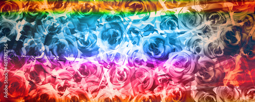Fototapeta Naklejka Na Ścianę i Meble -  banner rainbow roses flower bouquet background, brochure, template, copy space