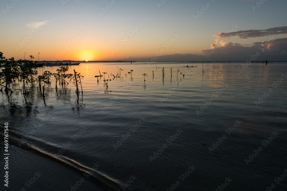 Dramatic image of a Caribbean coast sunrise in the coastal tourist town of Boca Chica,Dominican Republic, with plants sticking out in silhouette.