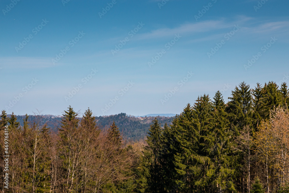 Village on a hill with green forest around